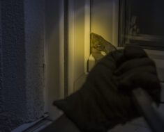 Que faire après un cambriolage